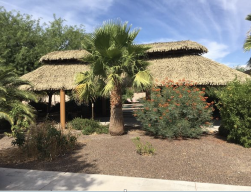 Elevate Your Outdoor Dining Ambiance with Palmex for Restaurants & Bars